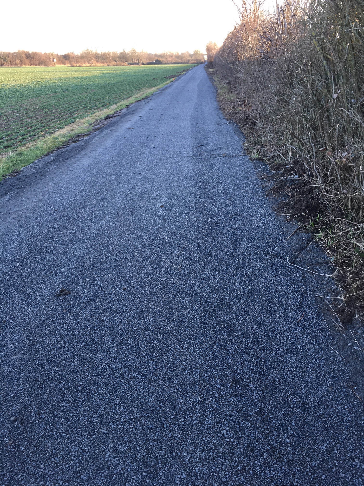 Radwege an der Bahnlinie Nähe Diljemer Waldsee